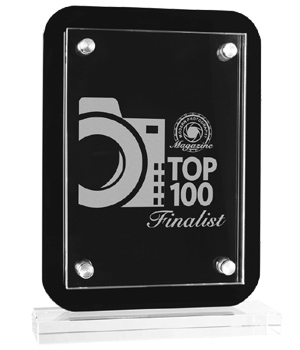 Glass Award Top 100